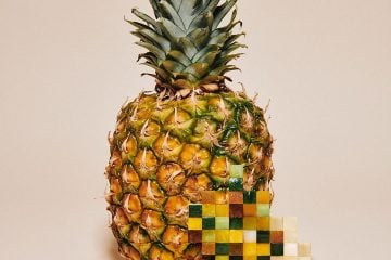 iGNANT-Photography-Yuni-Yoshida-Pixelated-Food-003