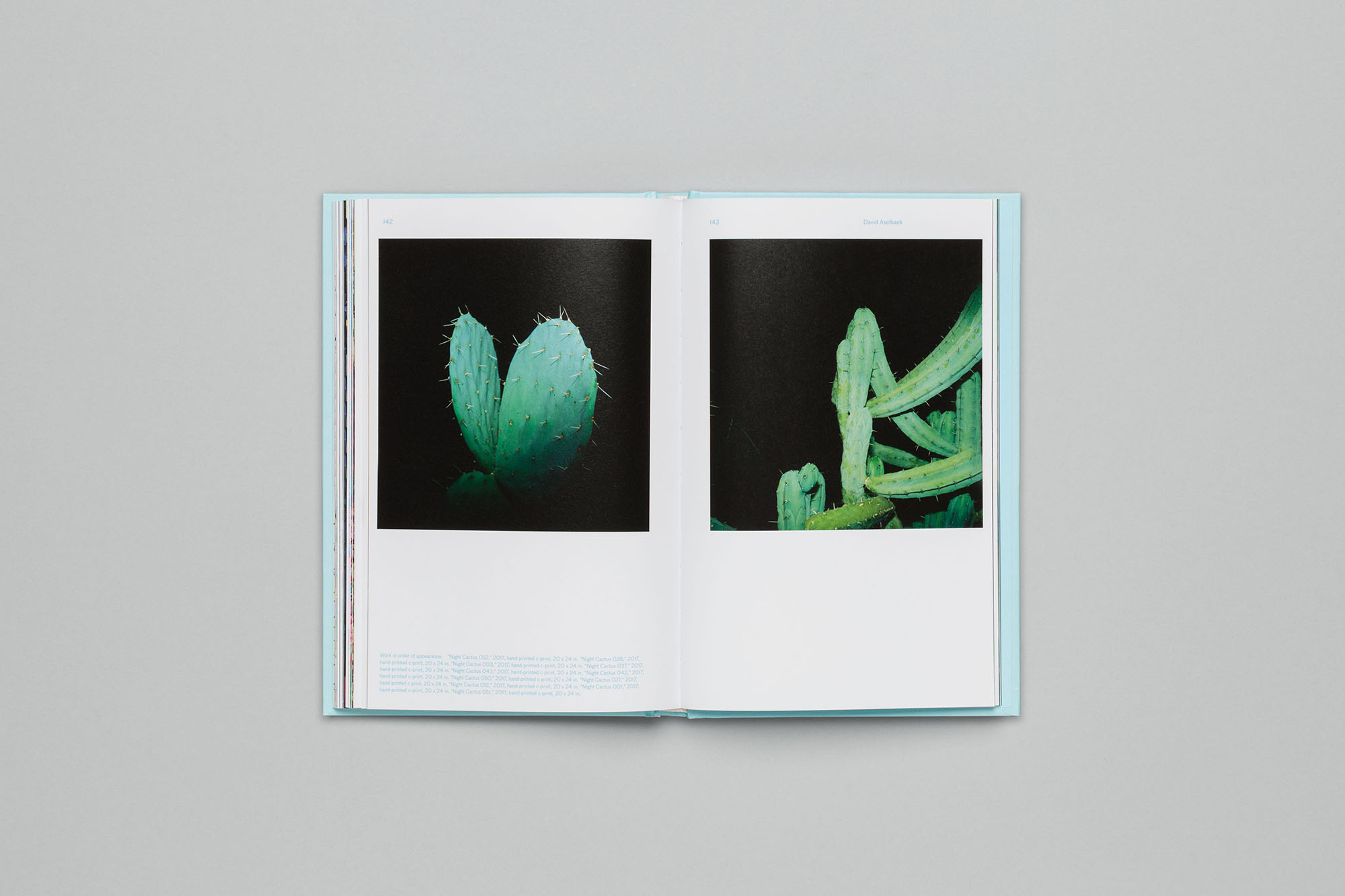 iGNANT-Design-Strange-Plants-iii-Spread-12