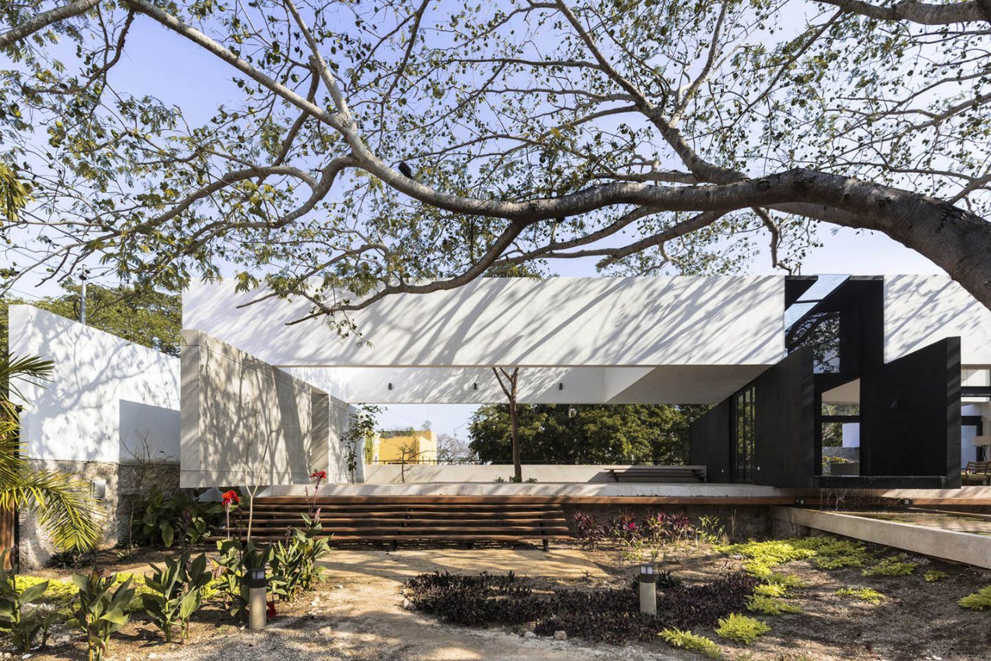 iGNANT-Architecture-AS Arquitectura-Casa-Del-Arbol-001