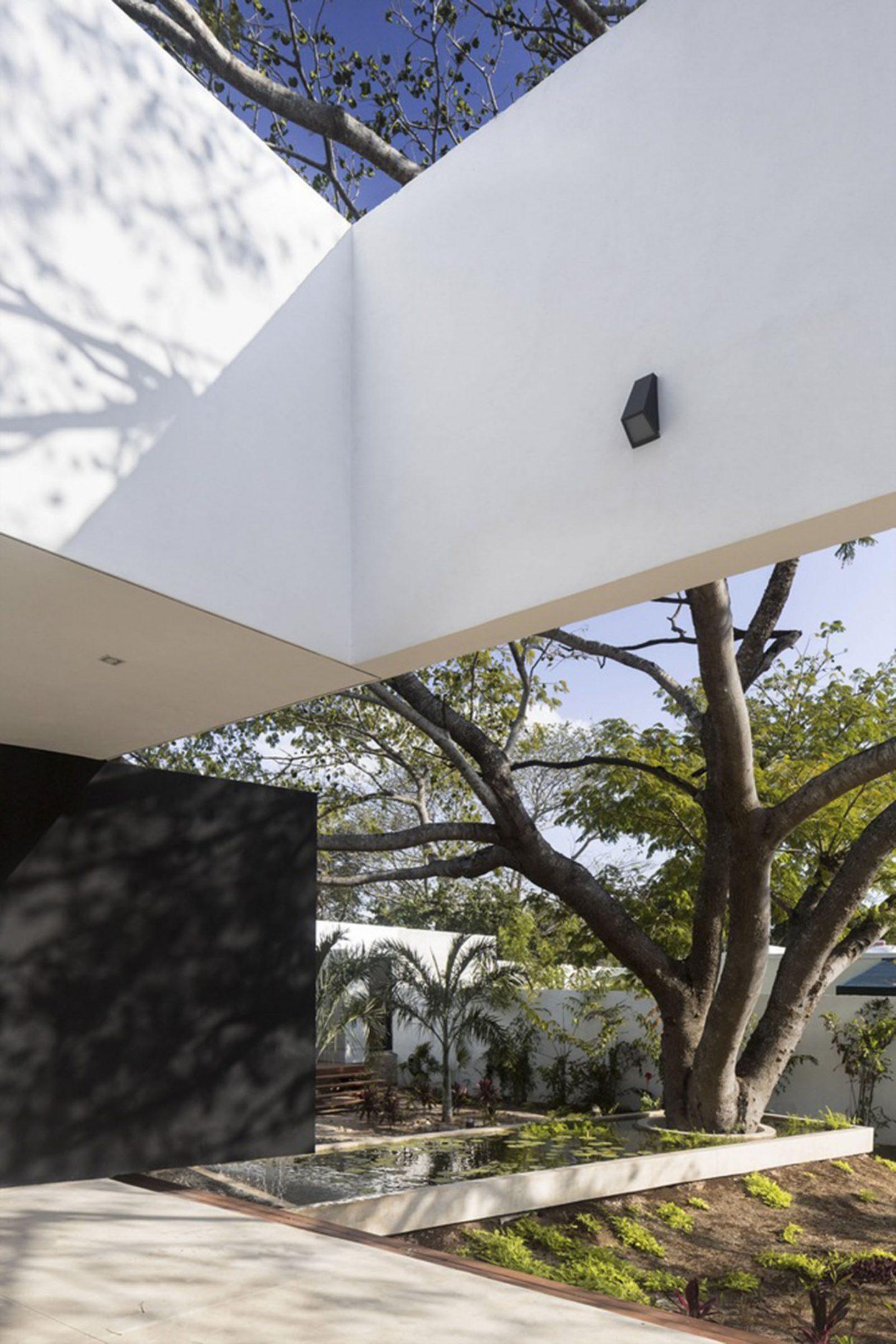 iGNANT-Architecture-AS Arquitectura-Casa-Del-Arbol-007