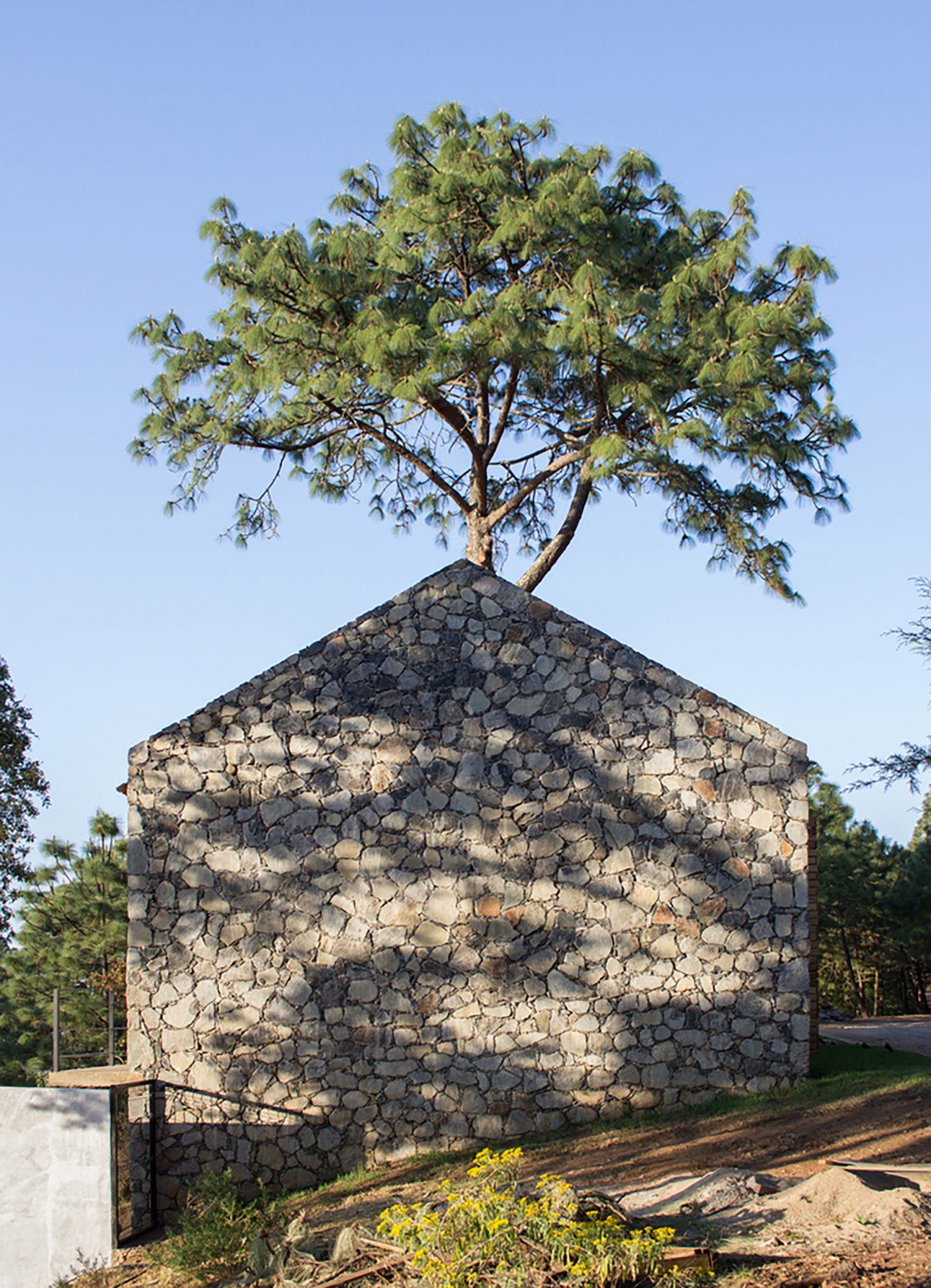 iGNANT-Architecture-EMA-House-Around-A-Pine-Tree-001