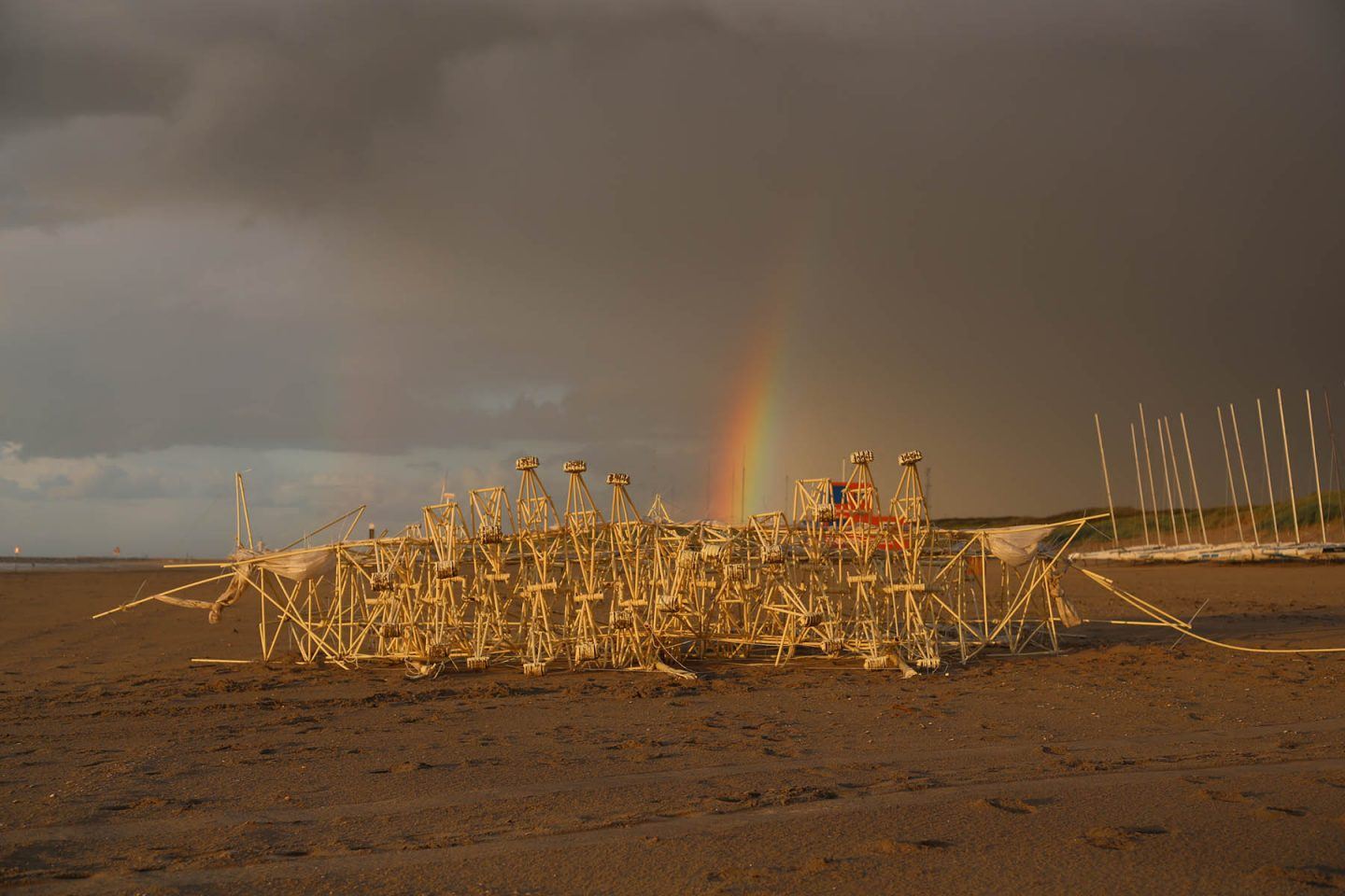 iGNANT-Art-Theo-Jansen-Strandbeests-011