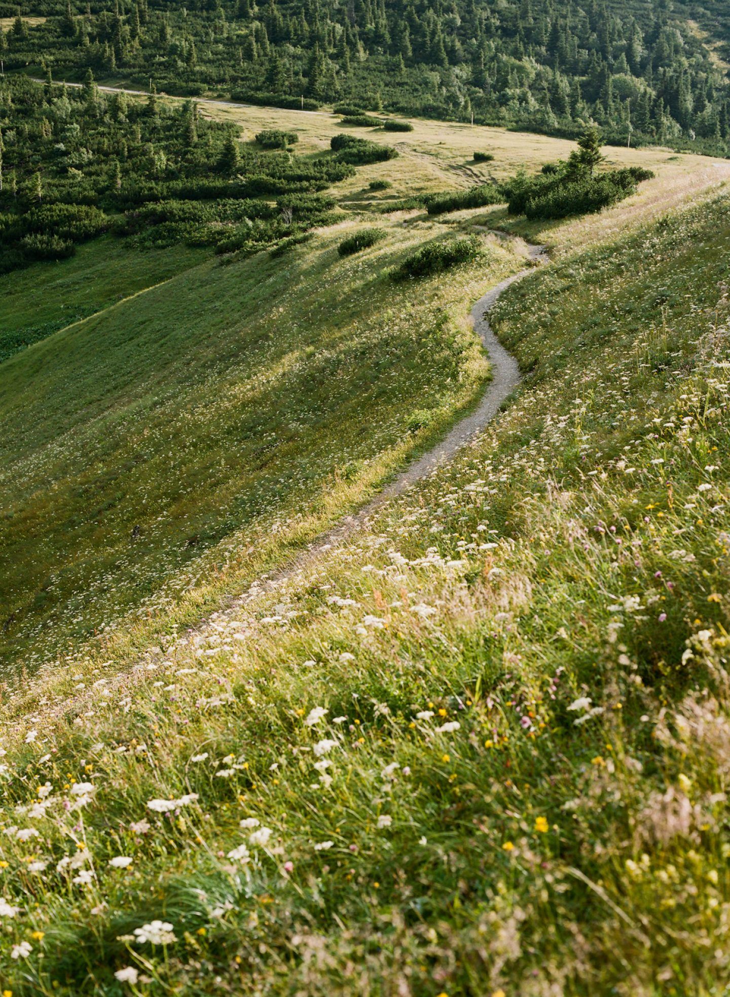 On-The-Road-Austria-Ignant-Daniel-Gebhart-035