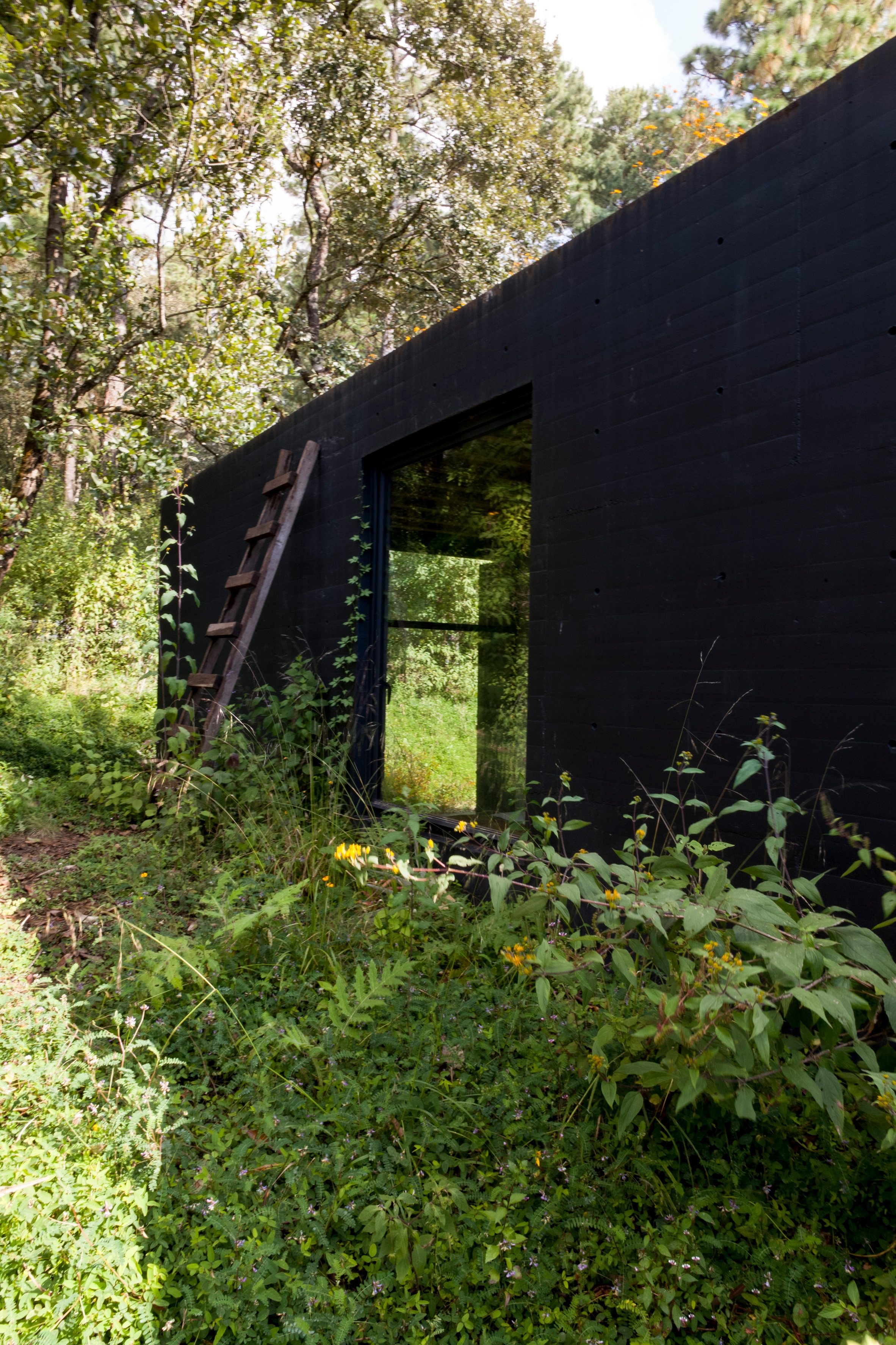 Casa De La Roca A Hidden Home In Mexico IGNANT