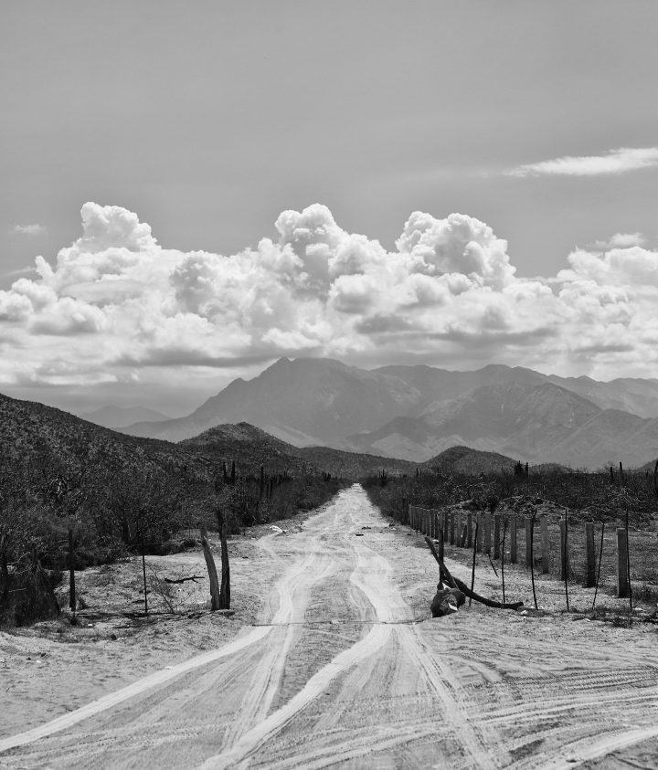 jesse-lizotte-takes-us-on-a-road-trip-through-mexico-ignant