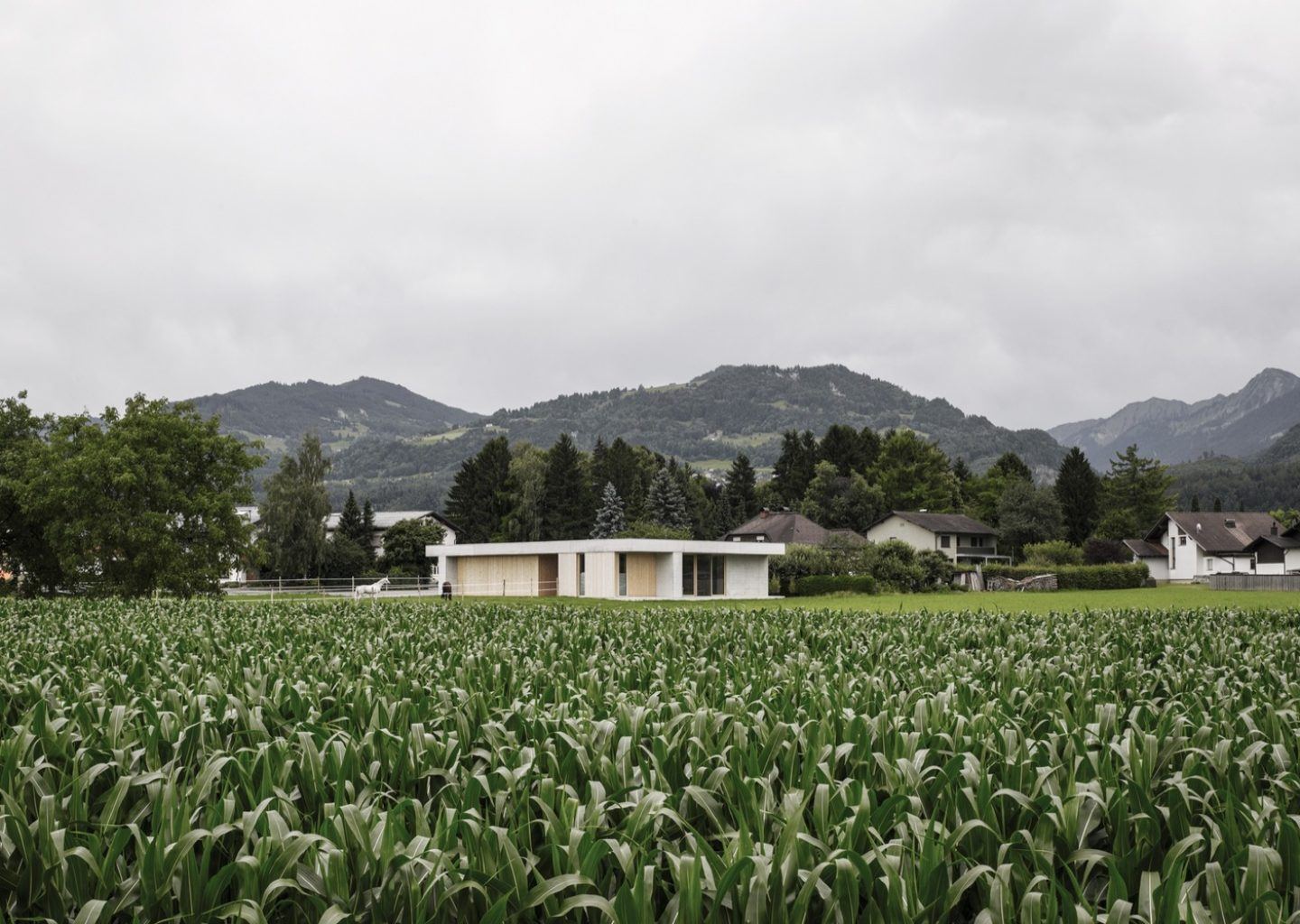 IGNANT-Architecture-Marte.Marte.-Architects-Veterinary-Clinic-12