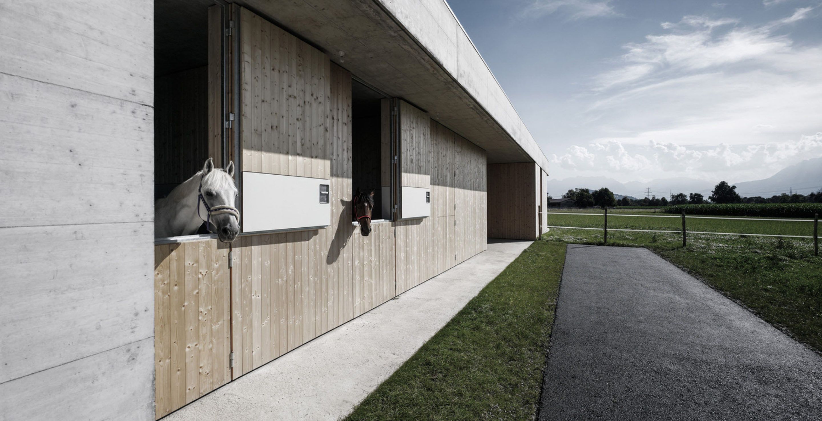 IGNANT-Architecture-Marte.Marte.-Architects-Veterinary-Clinic-3