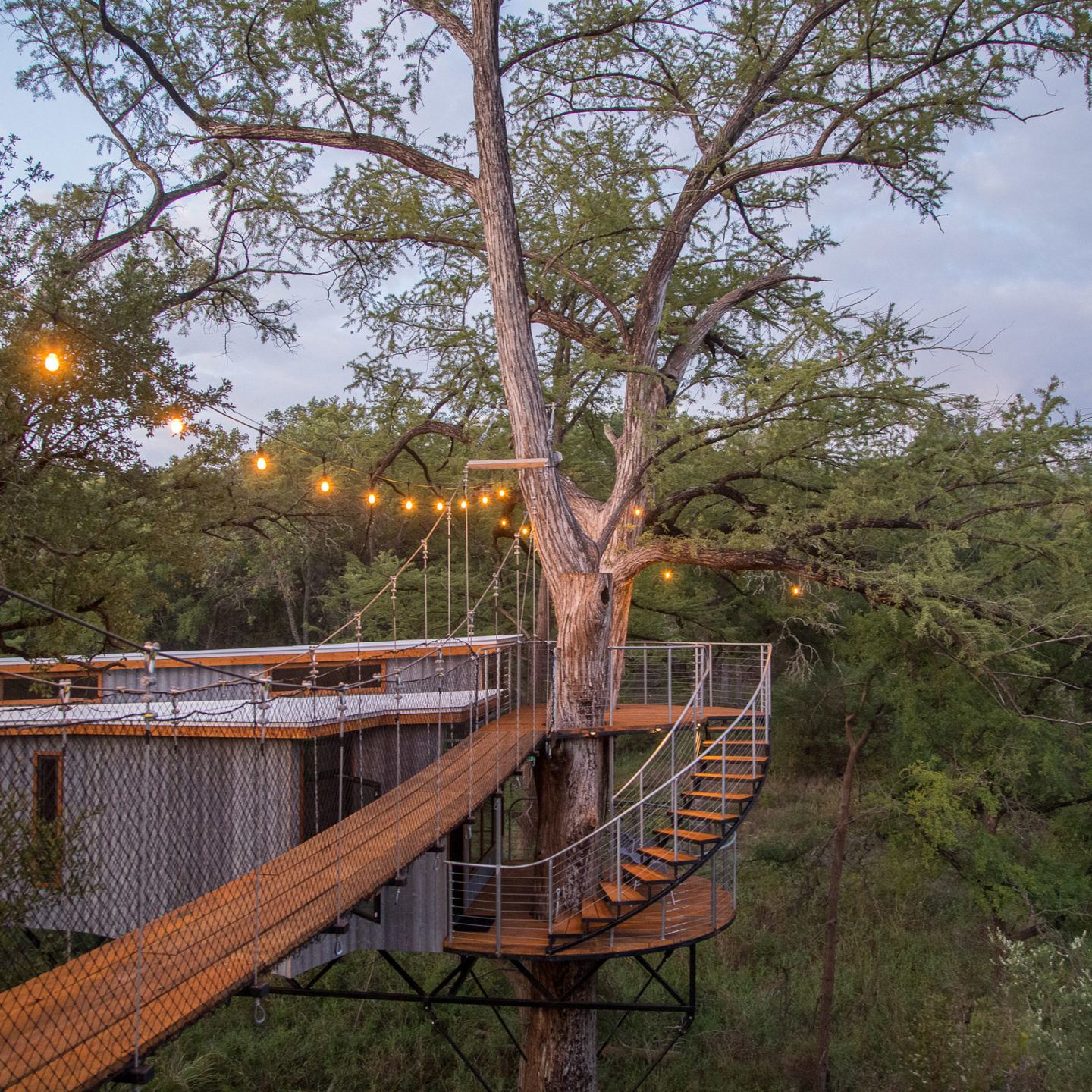 IGNANT-Architecture-Will-Beilharz-Yoki-Treehouse-3