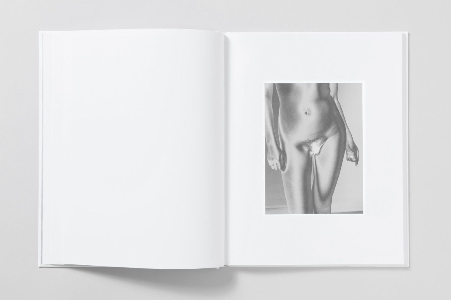 IGNANT-Print-Mona-Kuhn-Bushes-And-Succulents-007