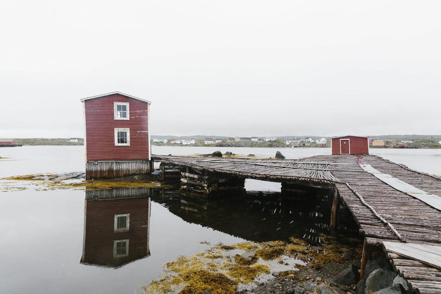 IGNANT-Travel-Finn-Beales-Fogo-Island-20