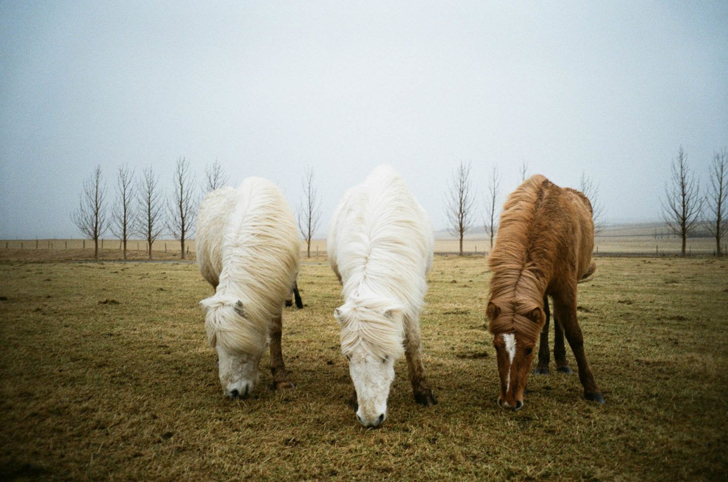 IGNANT-Travel-Michael-Novotny-Iceland-30