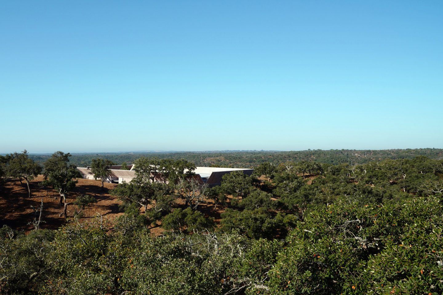 IGNANT-Architecture-Valerio-Olgiati-Villa-Alem-1