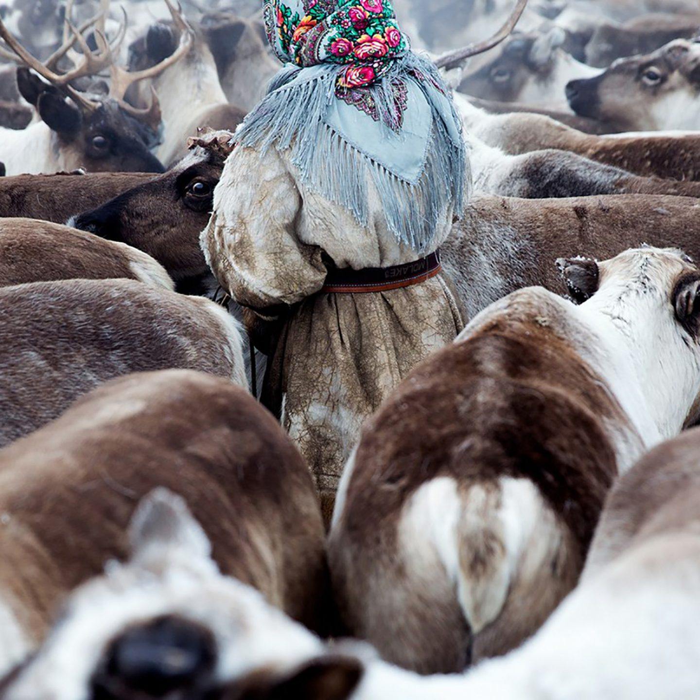 IGNANT-Photography-Oded-Wagenstein-Last-Years-Snow-2