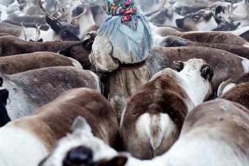 IGNANT-Photography-Oded-Wagenstein-Last-Years-Snow-2