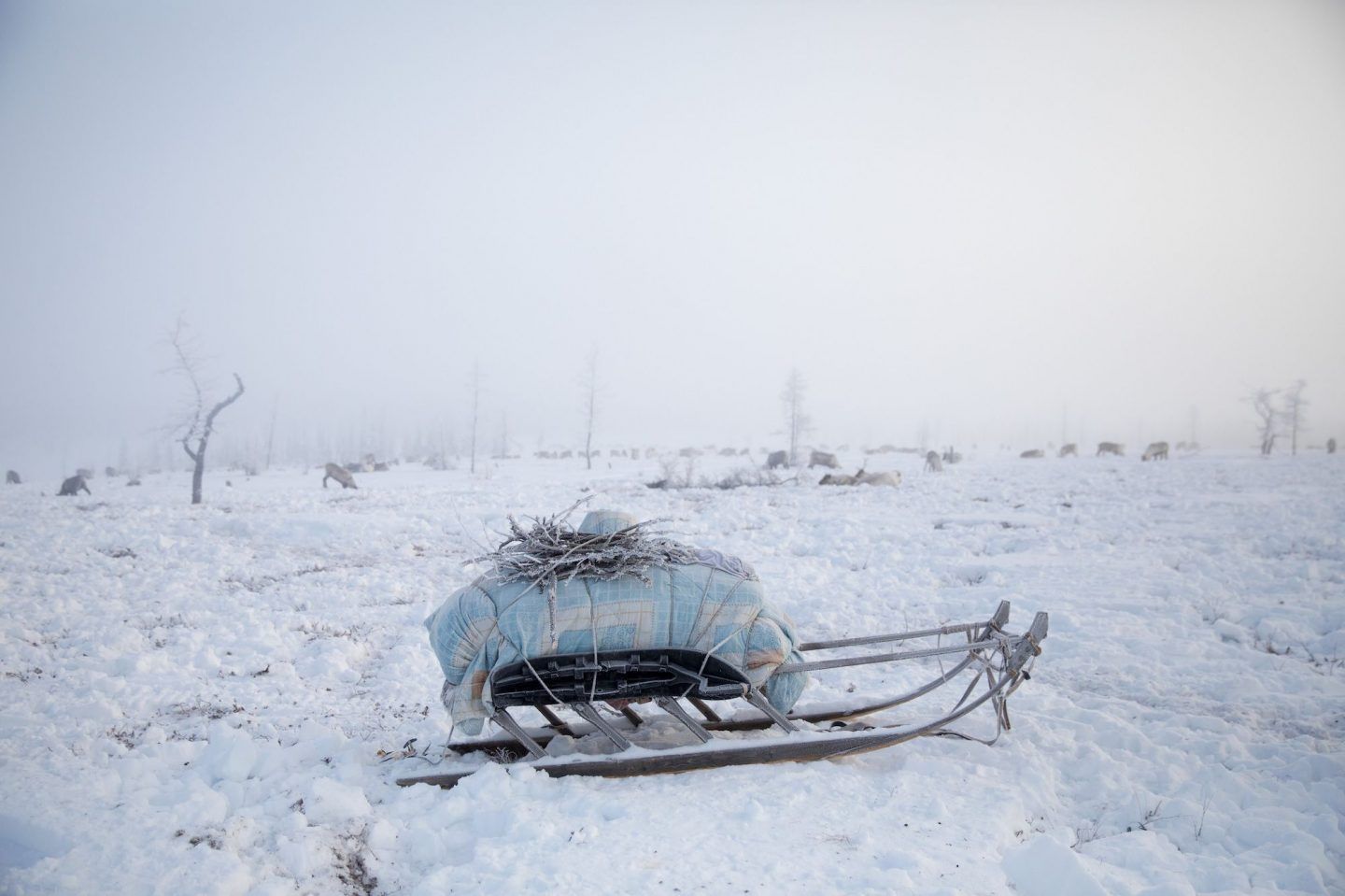 IGNANT-Photography-Oded-Wagenstein-Last-Years-Snow-9