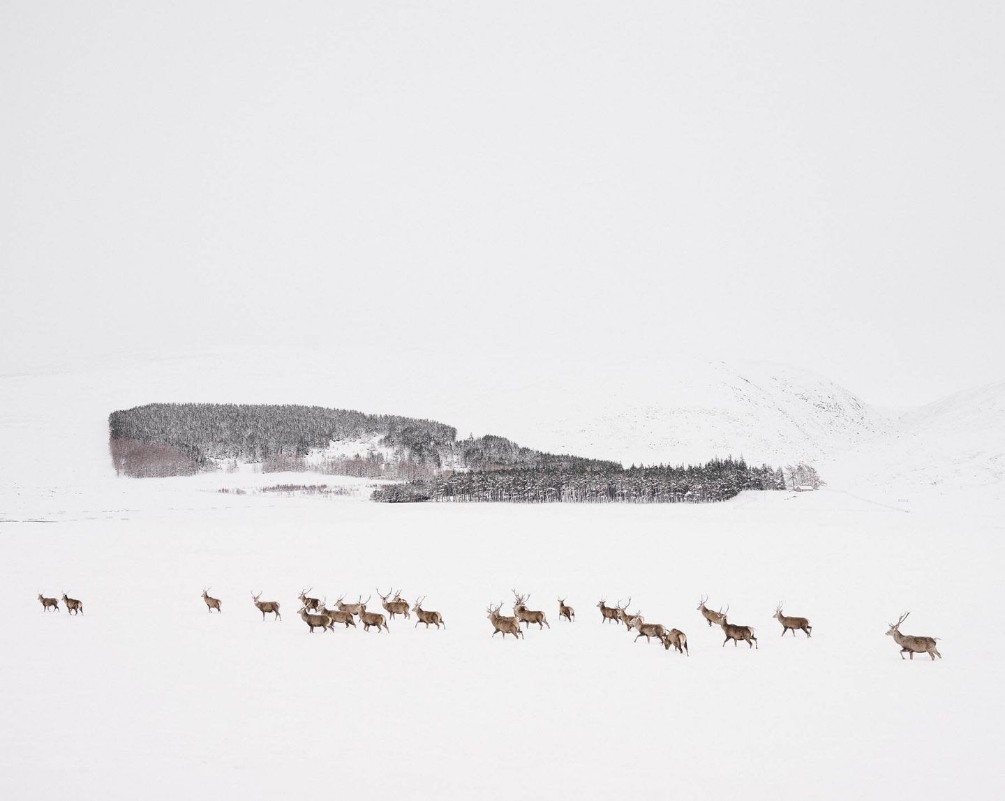 IGNANT-Photography-Ruairidh-Mcglynn-Emerging-Land-10