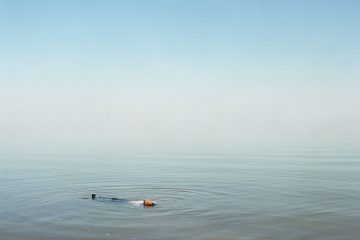 ignant-photography-ron-jude-lago-feature