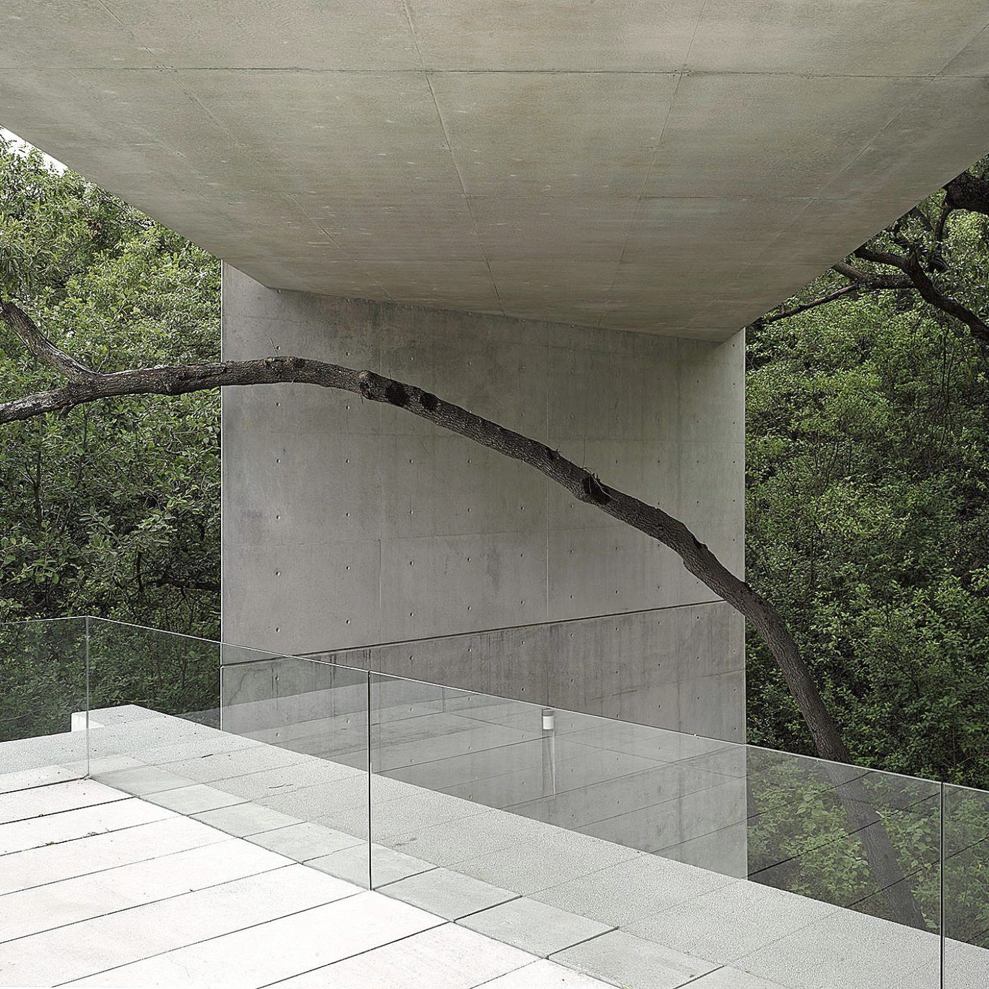 The Geometric Grace Of Tadao Ando’s House In Monterrey, Mexico - IGNANT