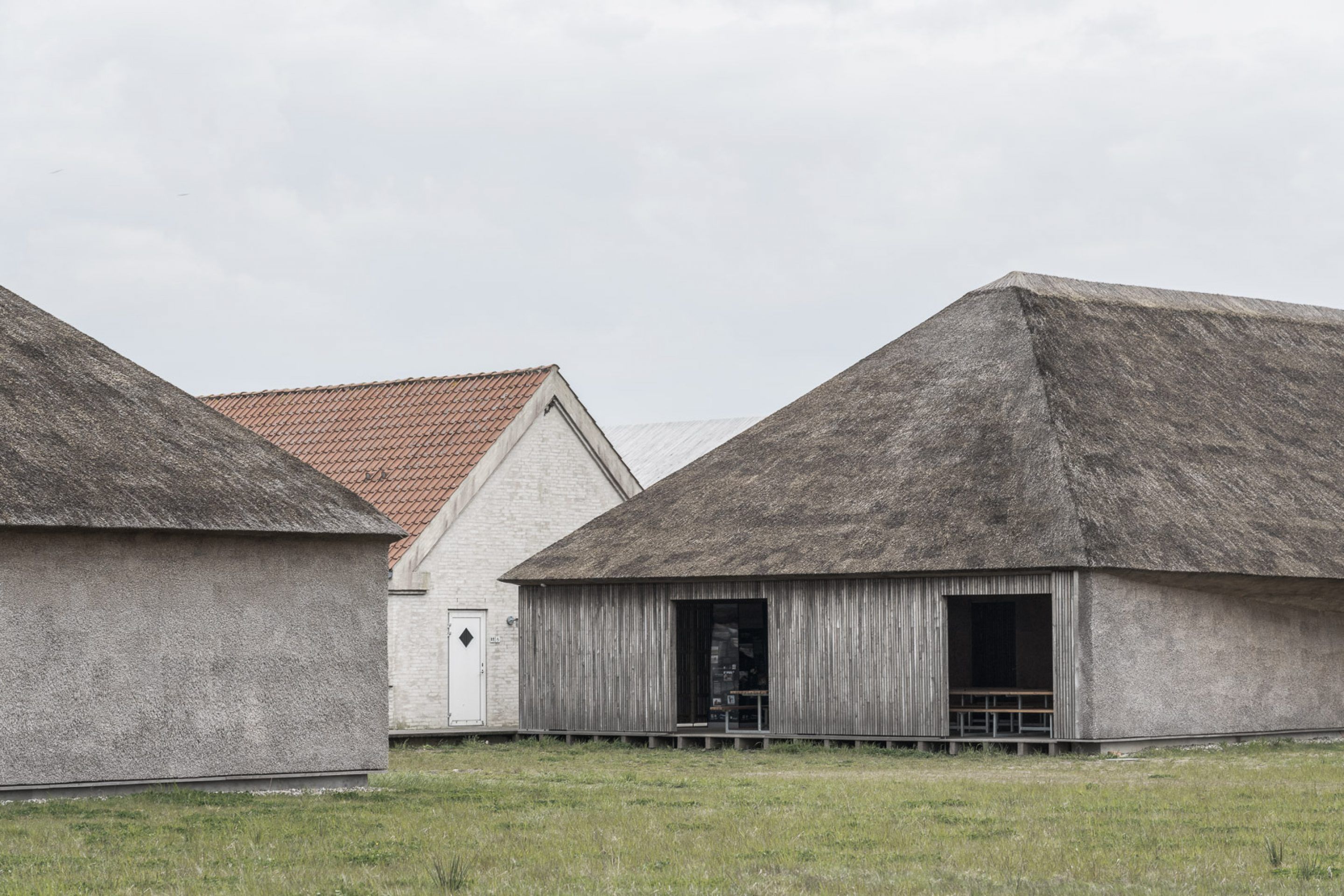 Wadden Sea Dorte Mandrup Ribe Denmark