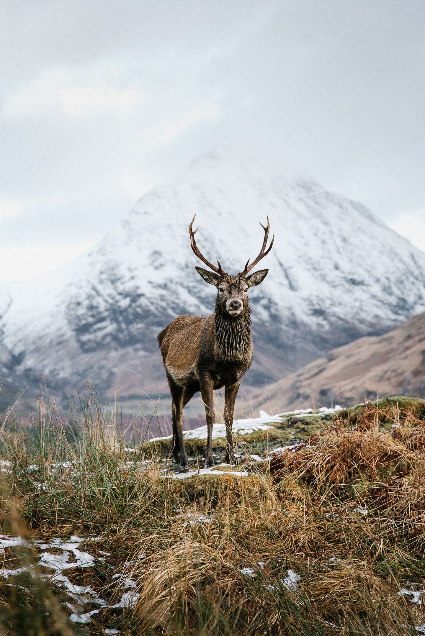 IGNANT-Murray-Orr-Travel-Scotland-19