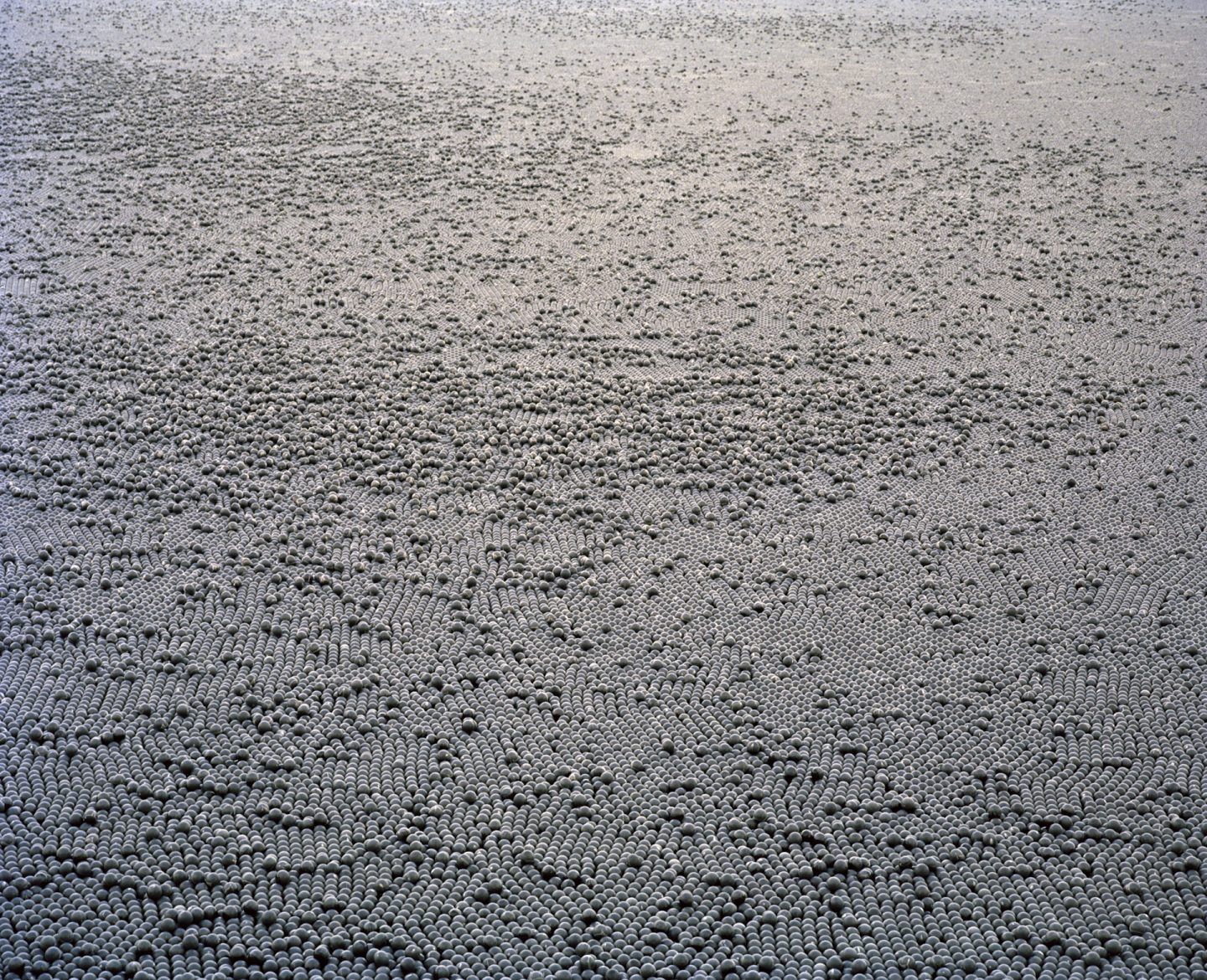 Black plastic shade balls. Ivanhoe Reservoir, Los Angeles, California, 2015.