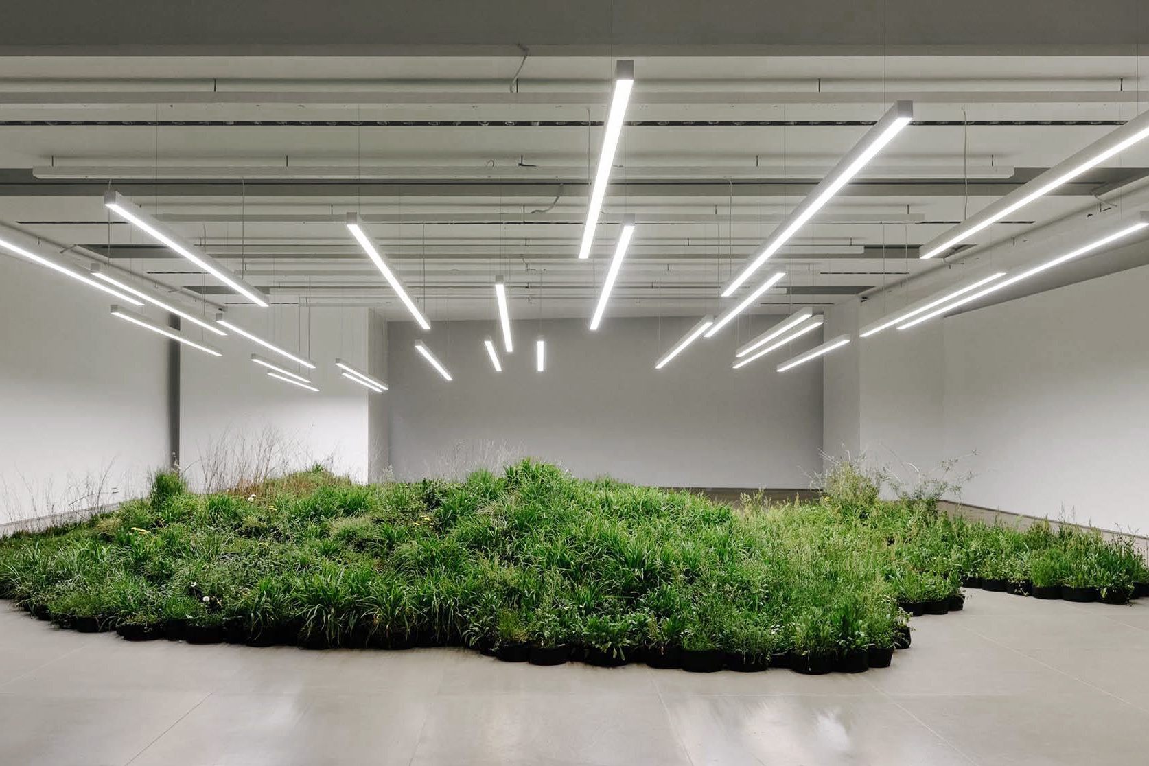 An Adjacent Field Spills Through The Milanese Headquarters Of Jil