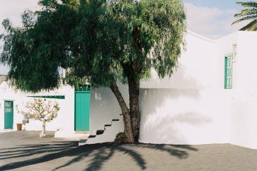 IGNANT-Photography-Arturo-Bamboo-Lanzarote-1