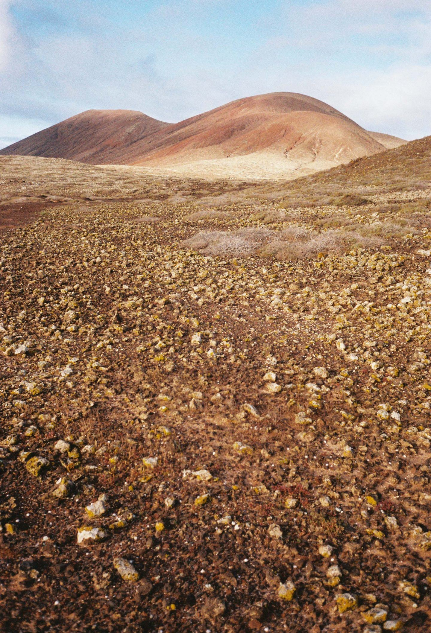 IGNANT-Photography-Arturo-Bamboo-Lanzarote-19