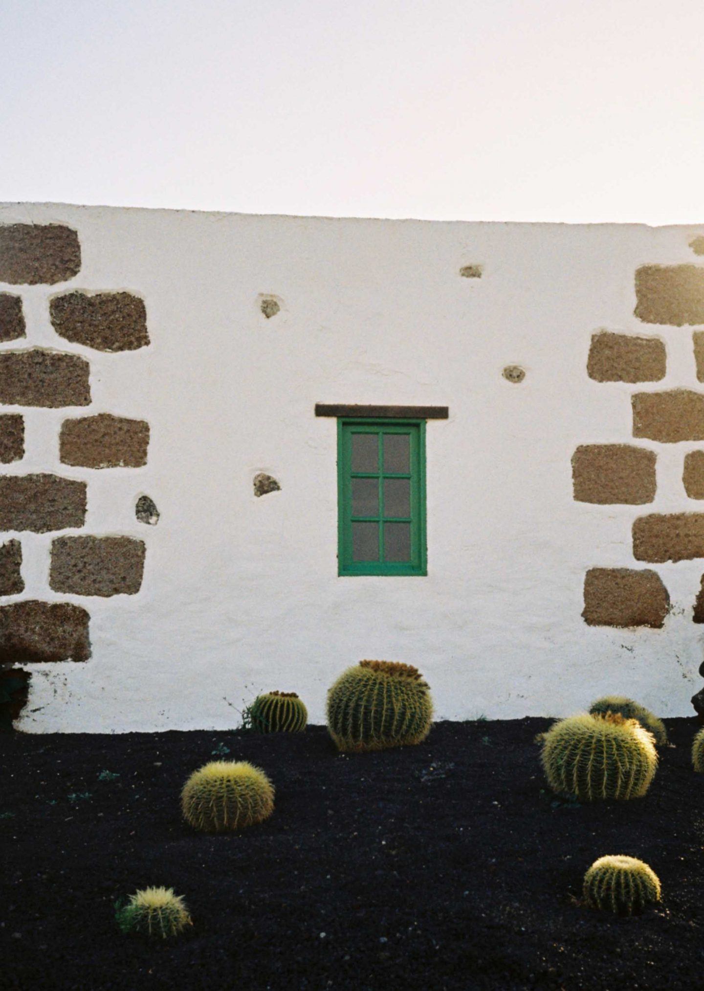 IGNANT-Photography-Arturo-Bamboo-Lanzarote-6