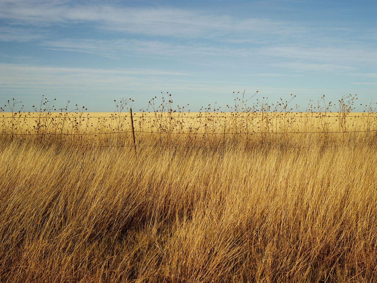 IGNANT-Photography-Josef-Hoflehner-Roadside-America-2