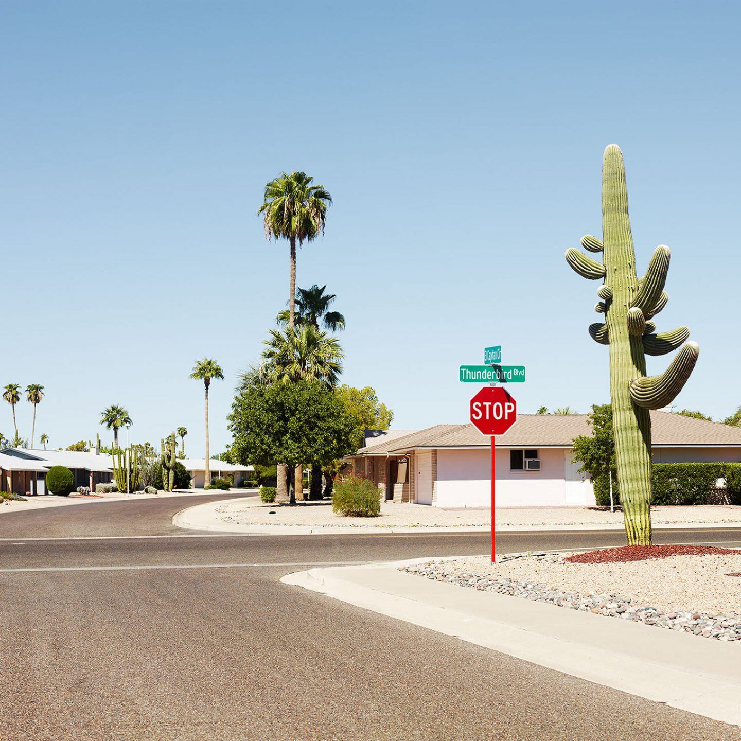 IGNANT-Photography-Josef-Hoflehner-Roadside-America-20