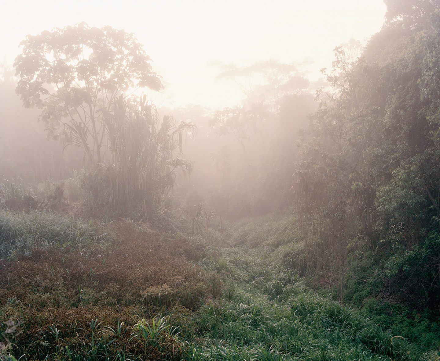 IGNANT-Photography-Yann-Gross-The-Jungle-Book-13
