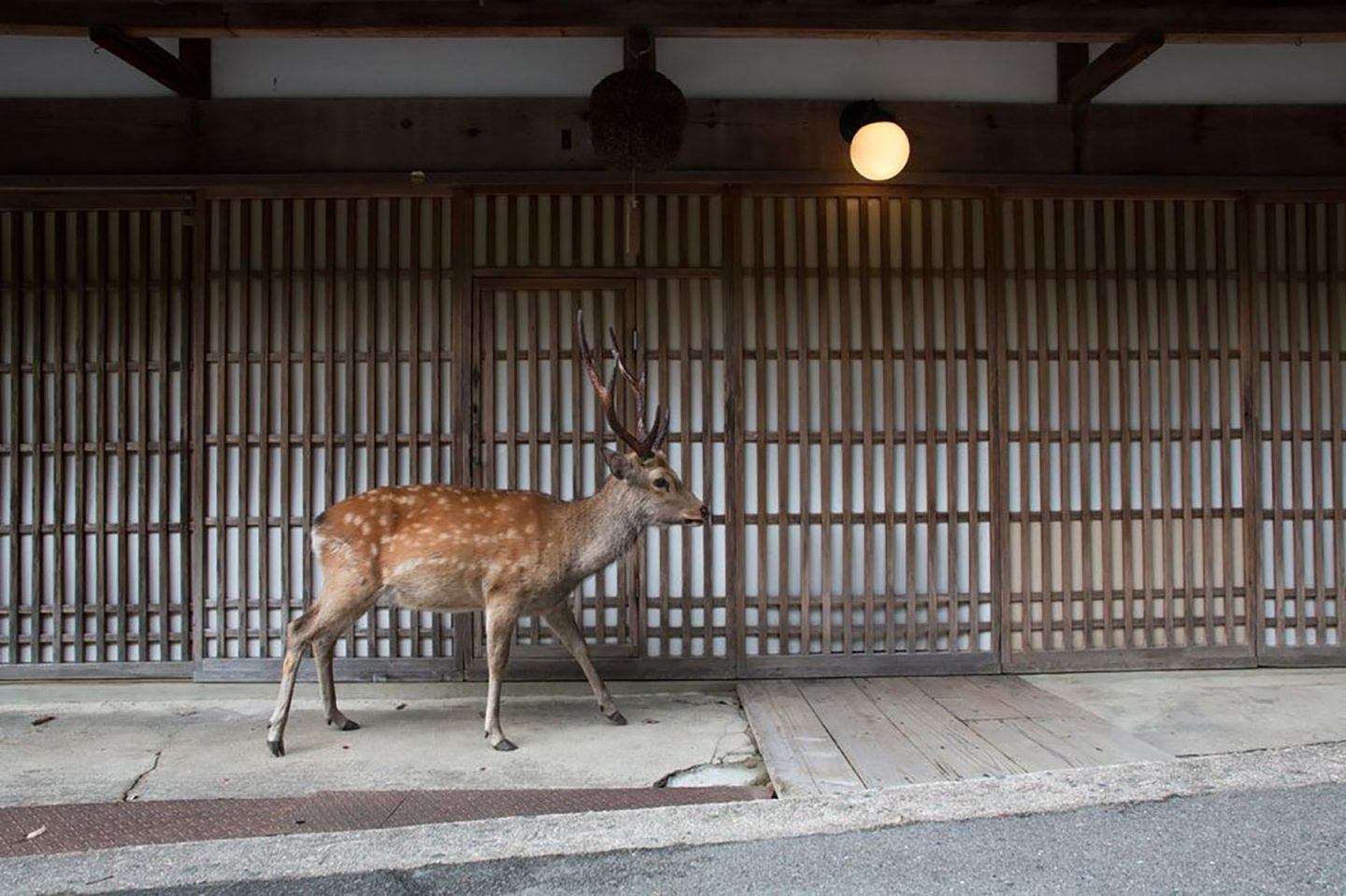 IGNANT-Photography-Yoko-Ishii-Beyond-The-Border-6