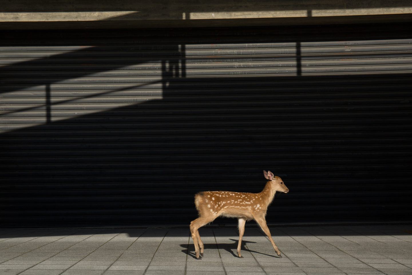 IGNANT-Photography-Yoko-Ishii-Beyond-The-Border17