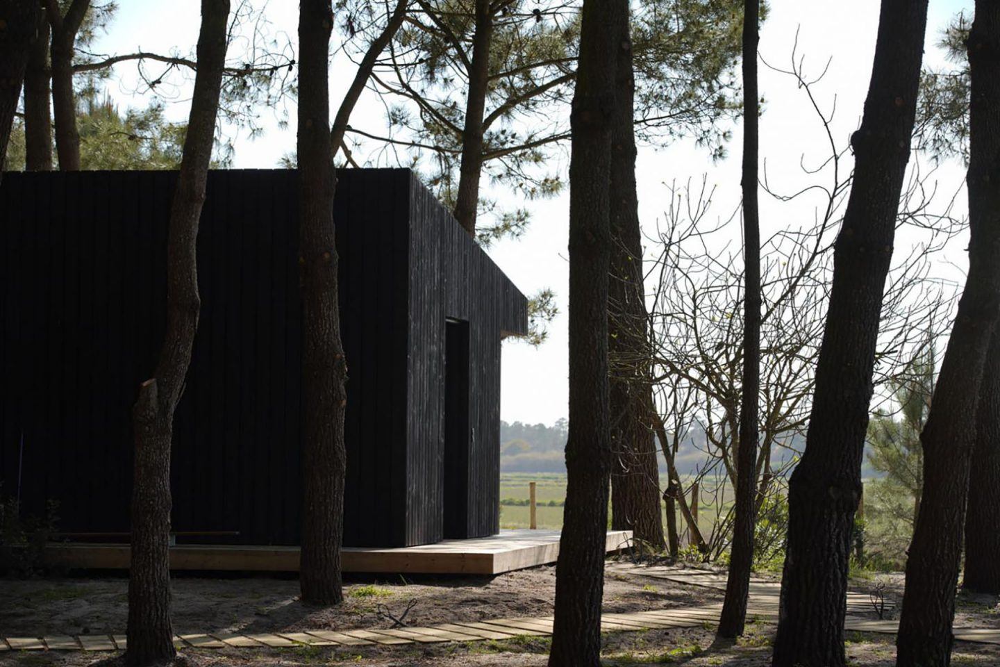 Studio 3a Archives - IGNANT