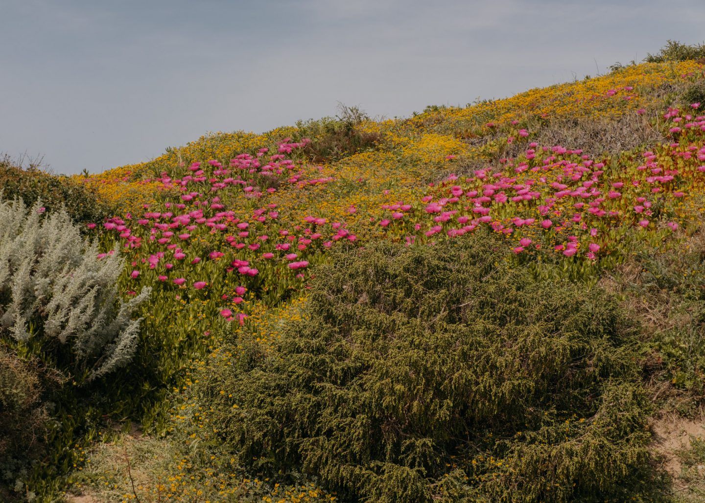 IGNANT-Photography-Maximilian-Virgili-Sardinia-13