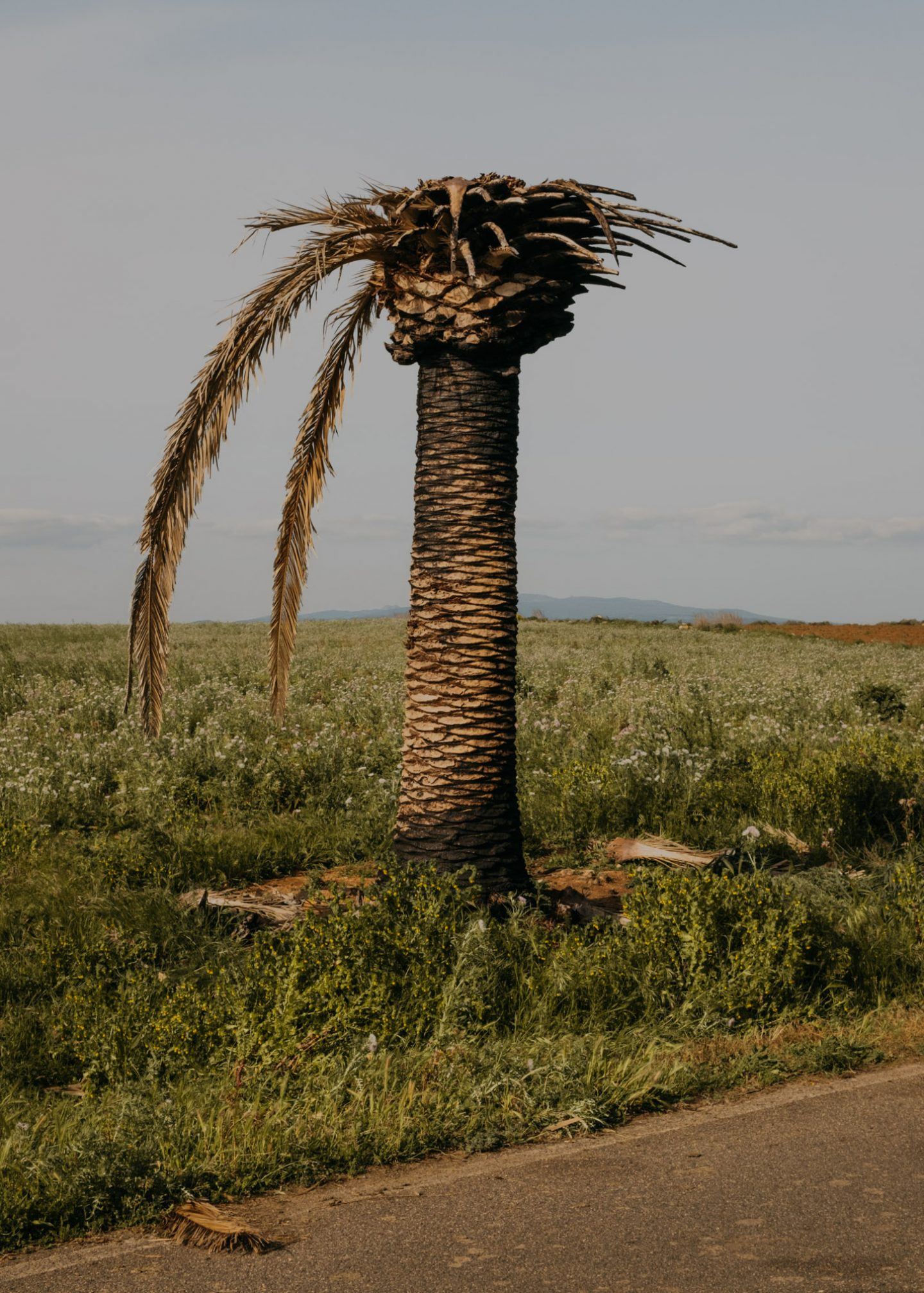 IGNANT-Photography-Maximilian-Virgili-Sardinia-19