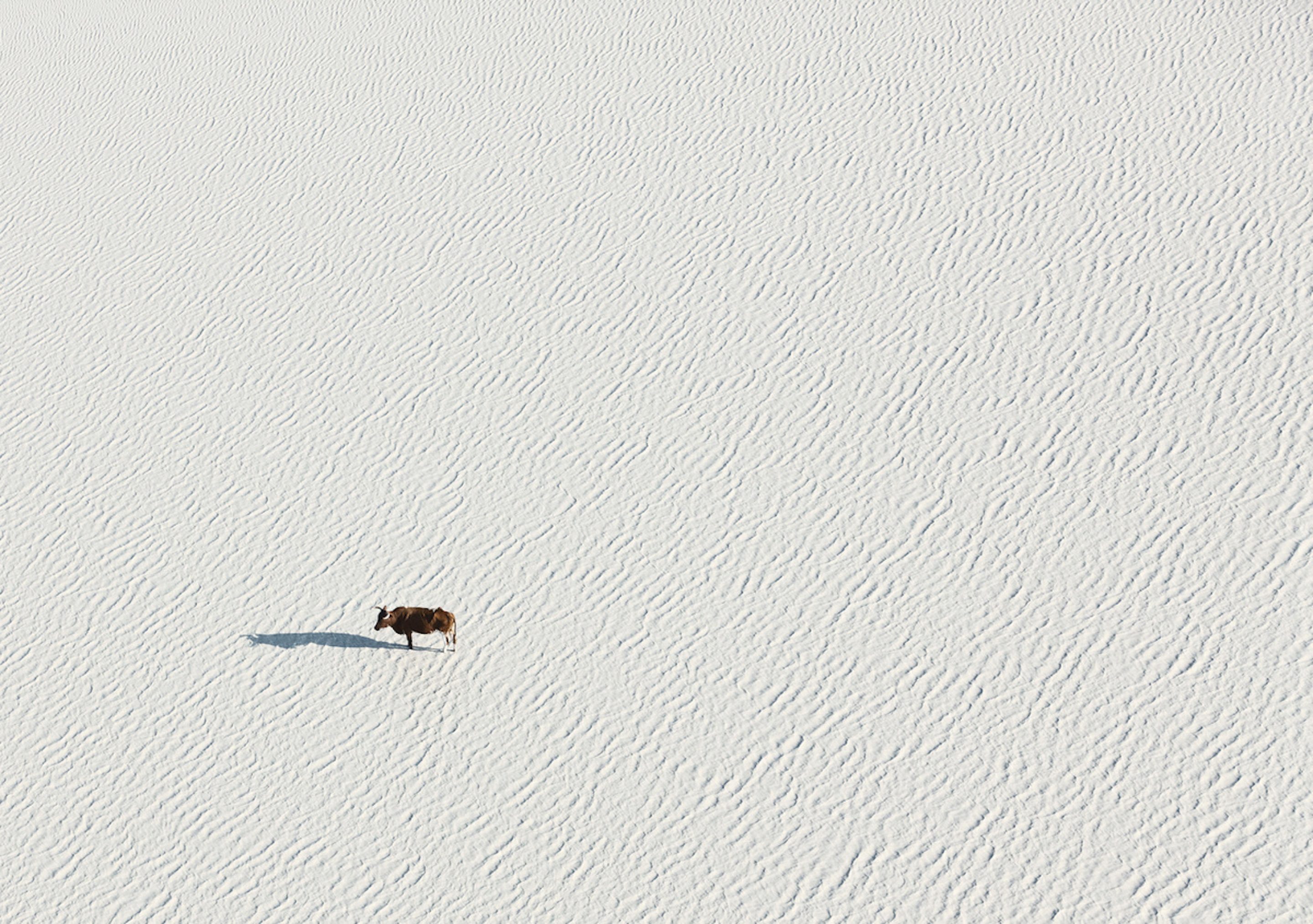 IGNANT-Photography-Zack-Seckler-Aerial-Botswana-001