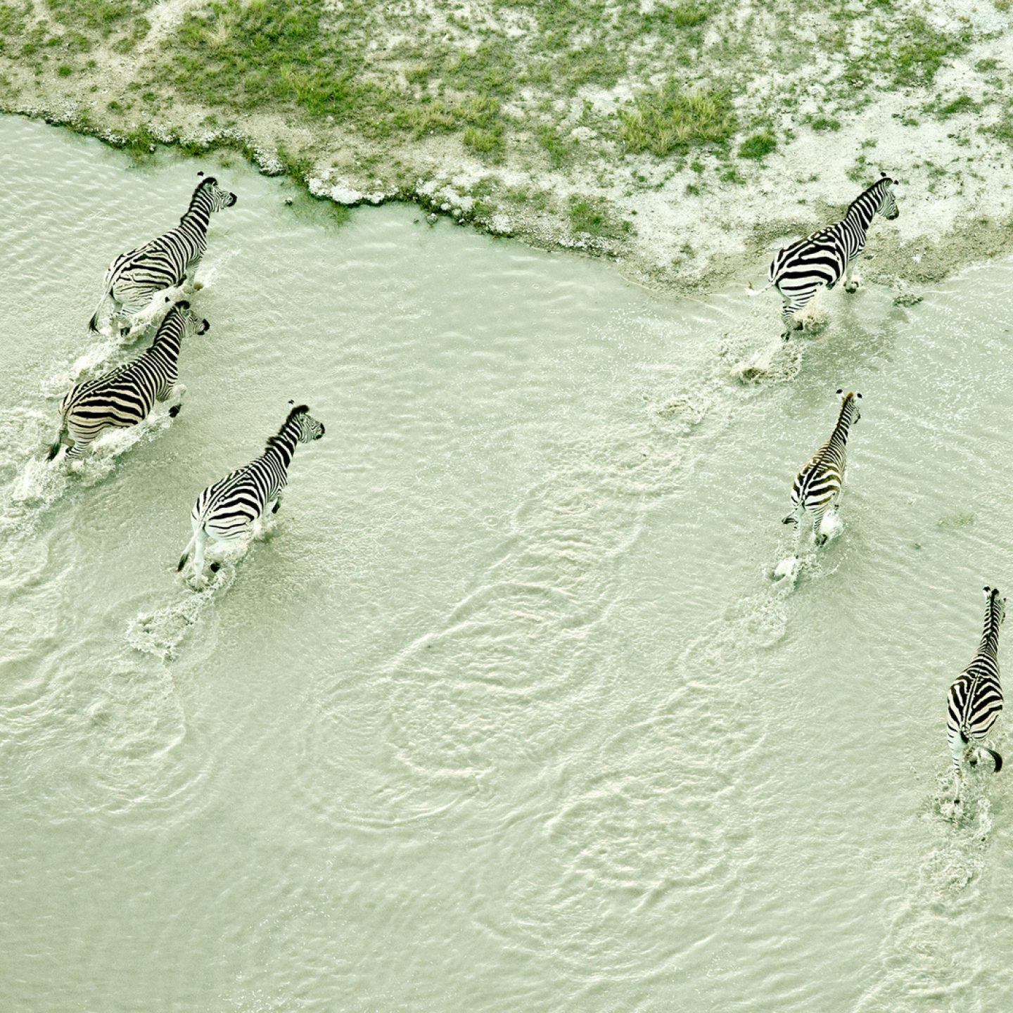 IGNANT-Photography-Zack-Seckler-Aerial-Botswana-005