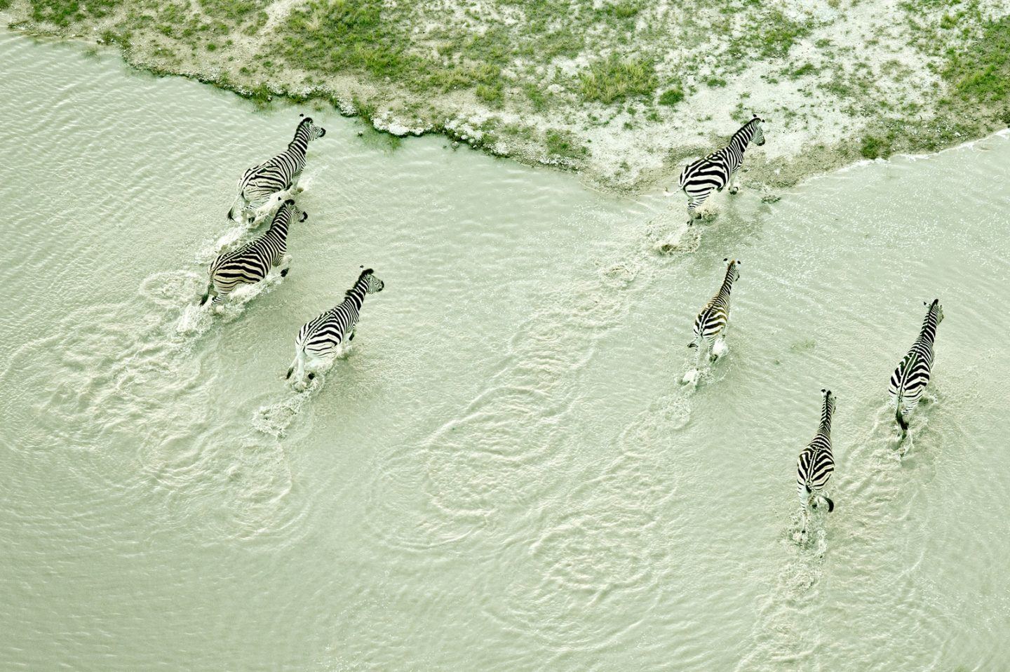 IGNANT-Photography-Zack-Seckler-Aerial-Botswana-005