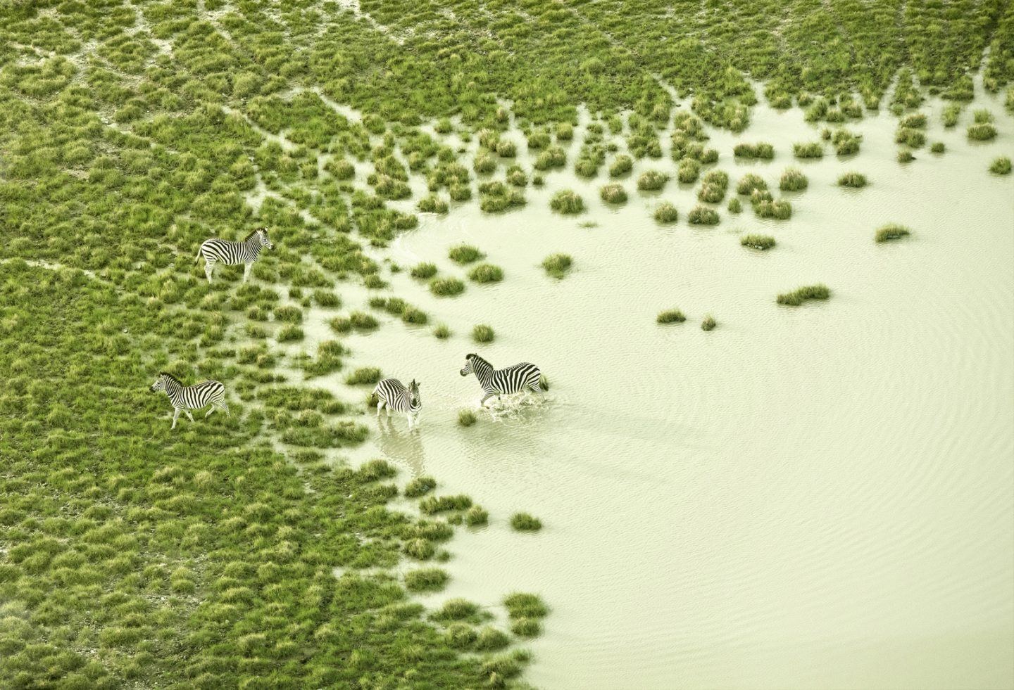 IGNANT-Photography-Zack-Seckler-Aerial-Botswana-006