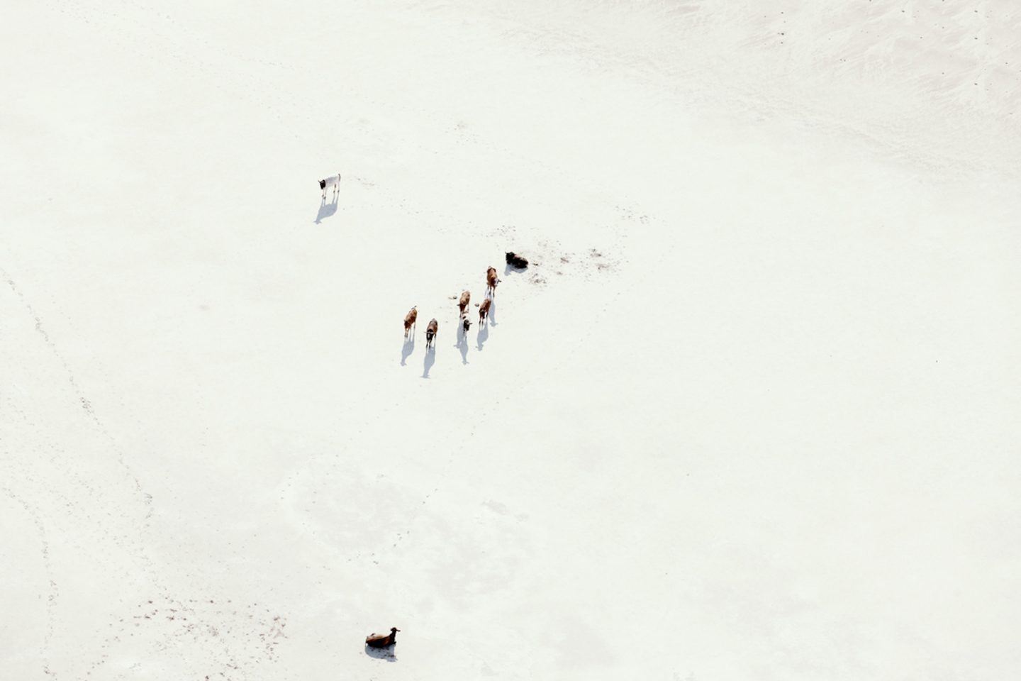 IGNANT-Photography-Zack-Seckler-Aerial-Botswana-008