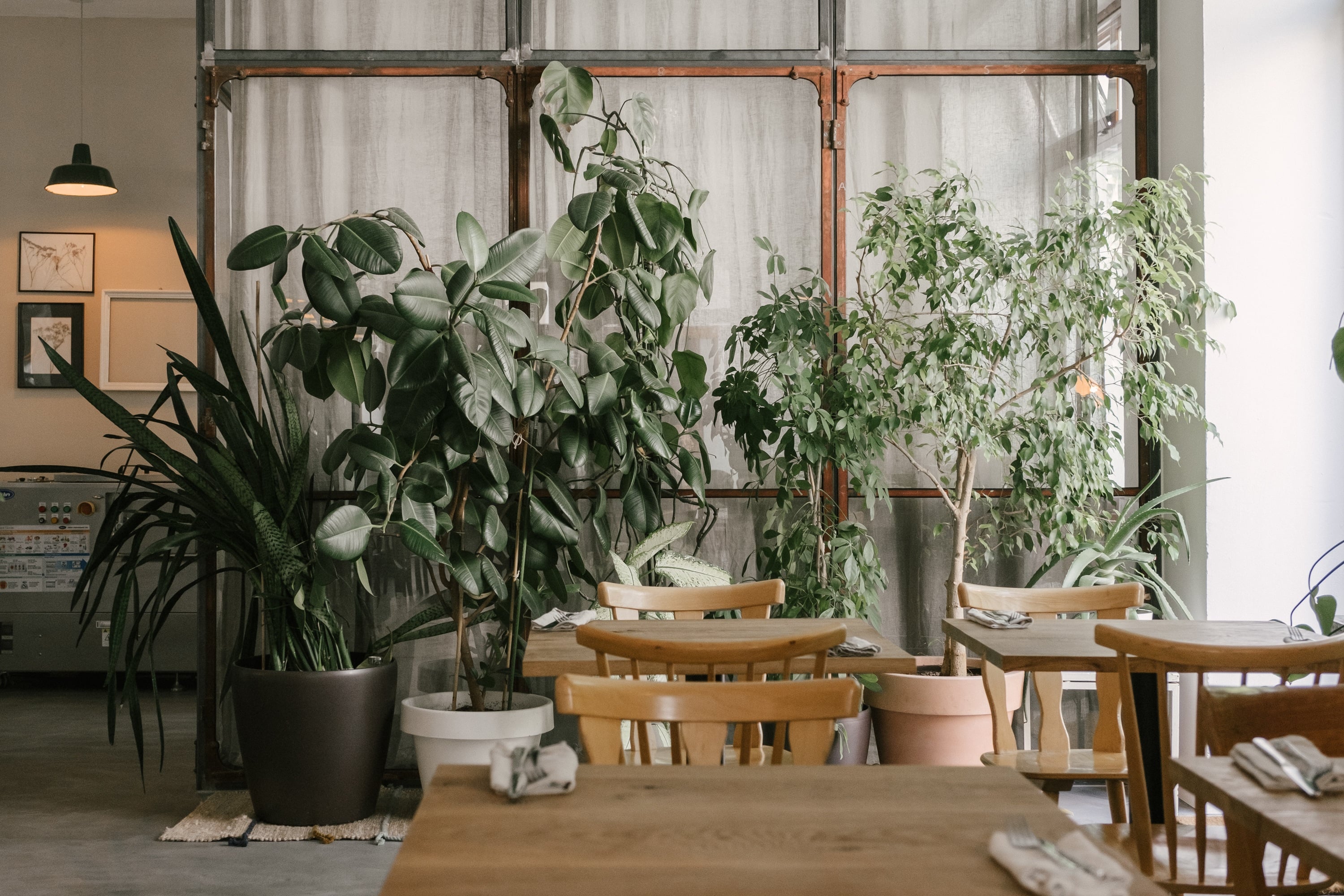 Frea · Berlin Germany IGNANT