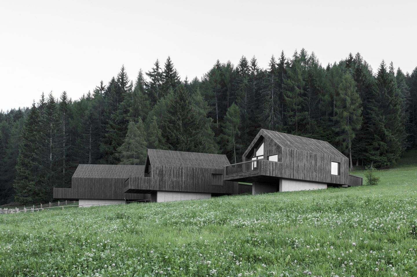 IGNANT-Architecture-Bergmeisterwolf-Fan-Forest-Houses-1