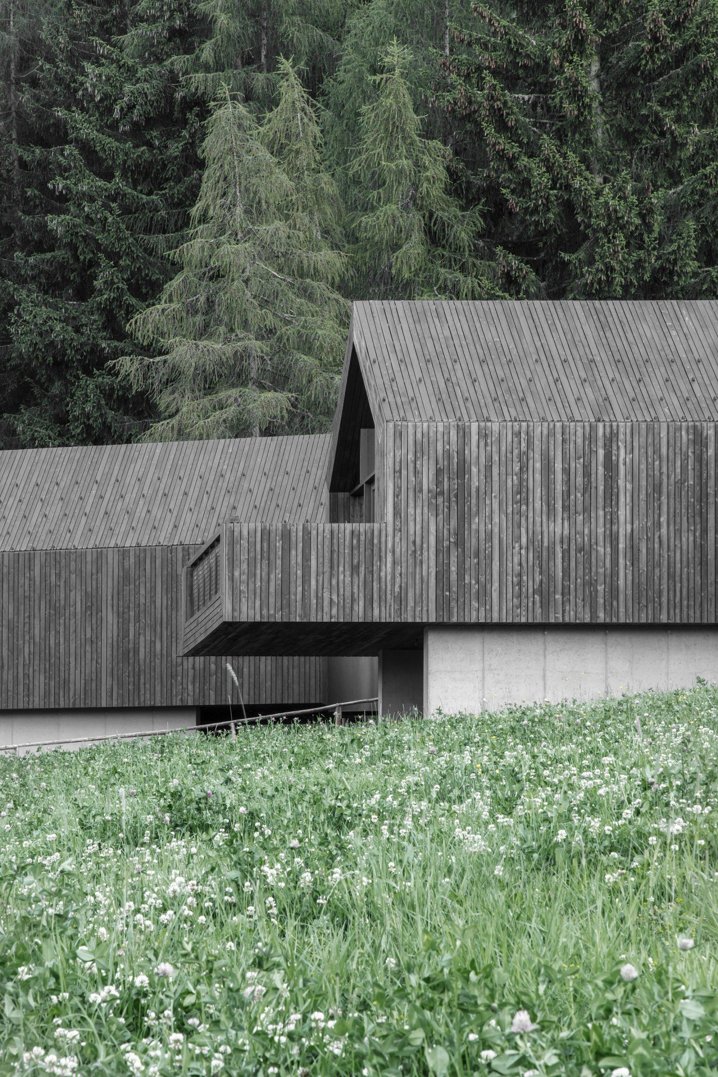 IGNANT-Architecture-Bergmeisterwolf-Fan-Forest-Houses-2