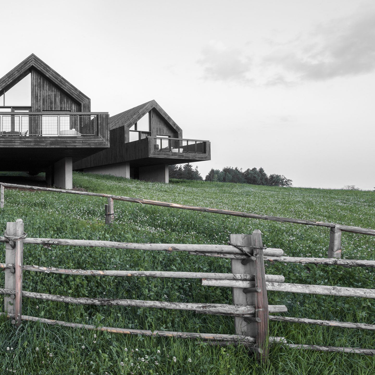 IGNANT-Architecture-Bergmeisterwolf-Fan-Forest-Houses-5