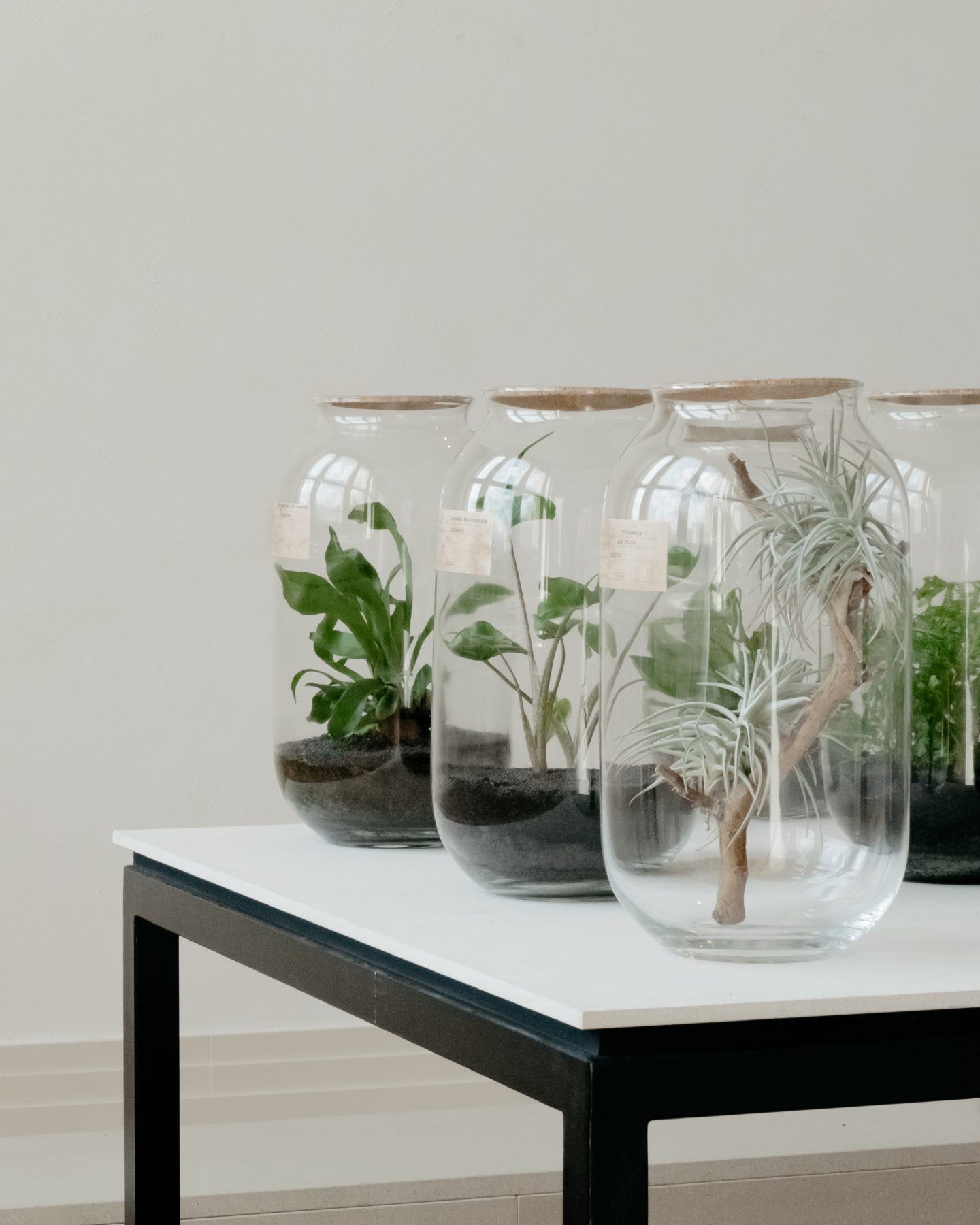 How Does Your Garden Grow The Latest Exhibition At Gropius Bau In