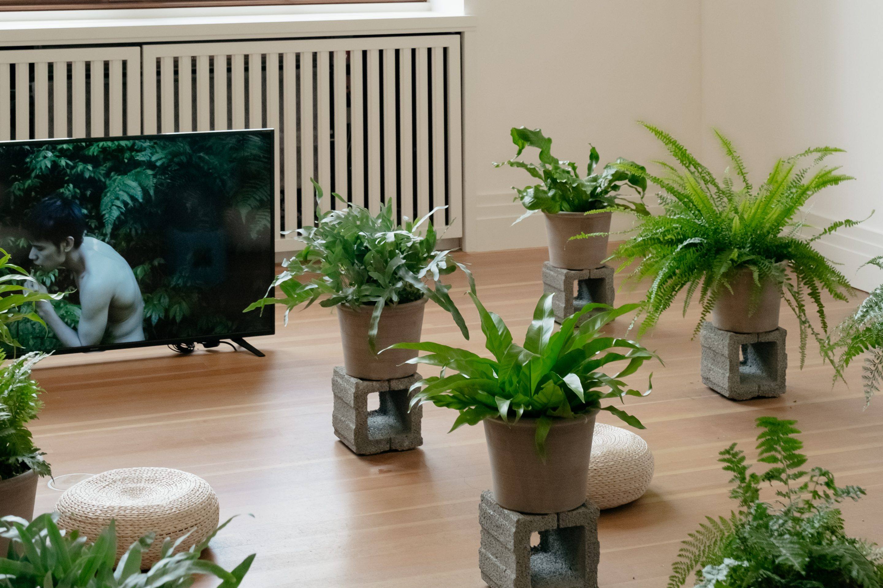 How Does Your Garden Grow The Latest Exhibition At Gropius Bau In