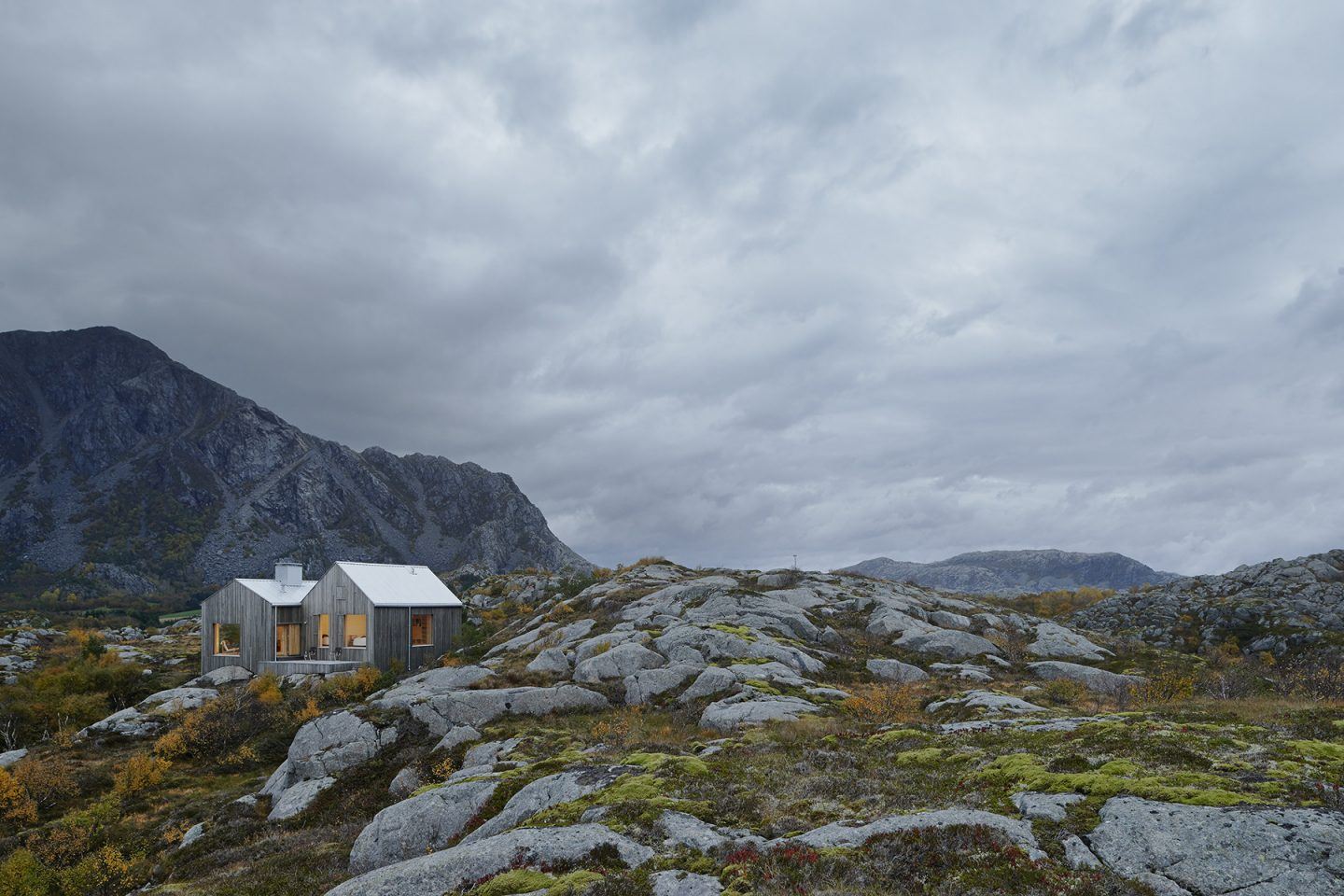 Vega Norge, Erik Kolman Janush