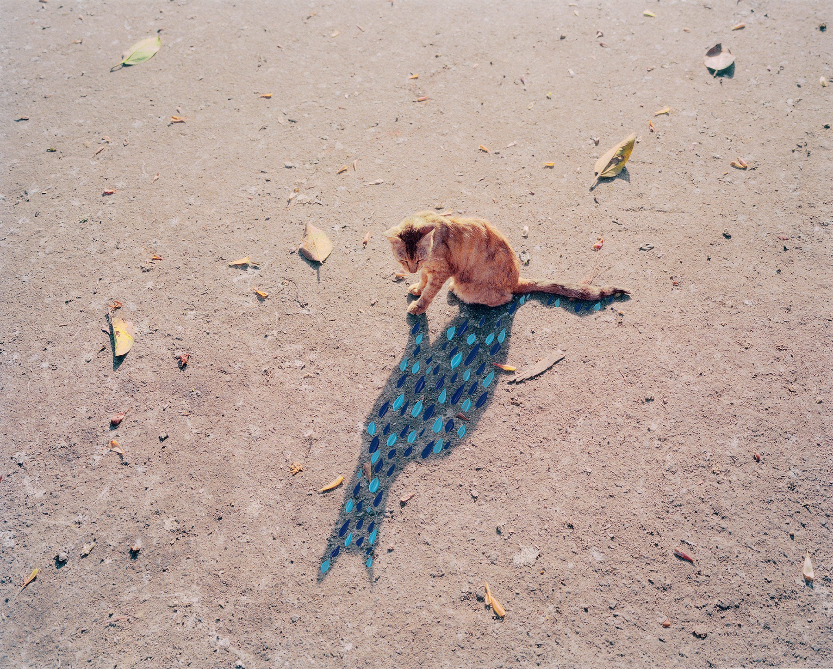 IGNANT-Photography-Vasantha-Yogananthan-Howling-Winds-5